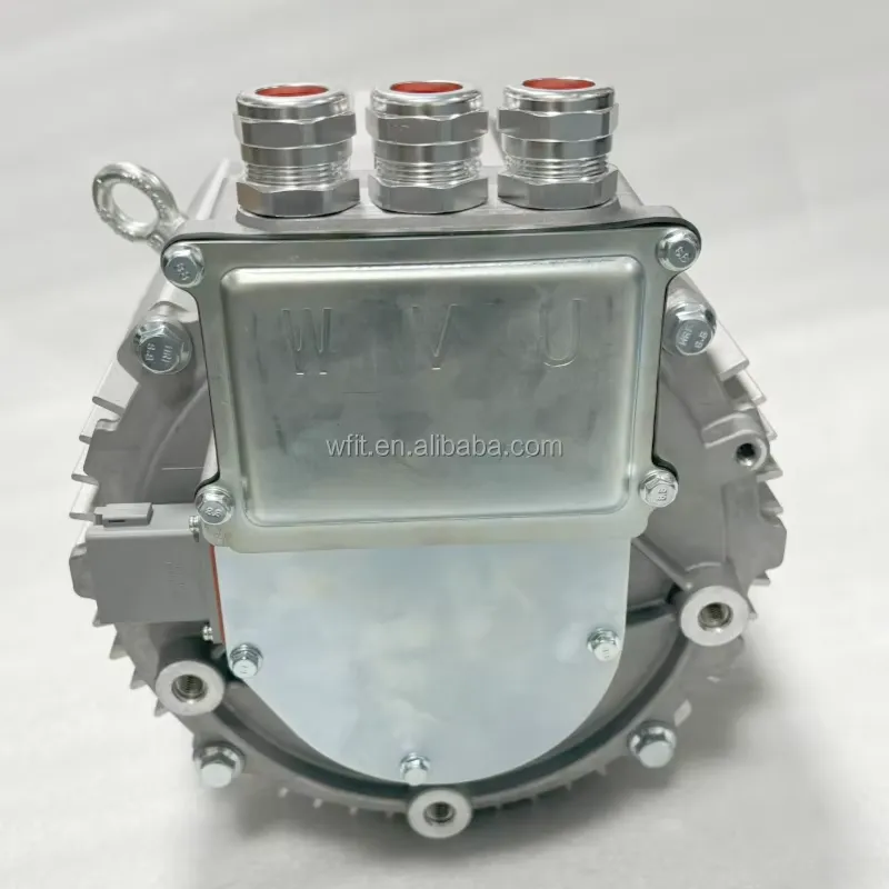 20kW PMSM Electric Motor Kit 4 - Ev Electric Motor Conversion Kit Car recension och pris